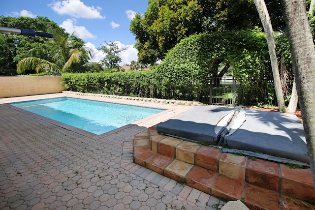 view of pool featuring a patio area