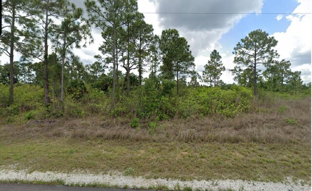 1003 Hines Ave, Lehigh Acres FL, 33972 land for sale