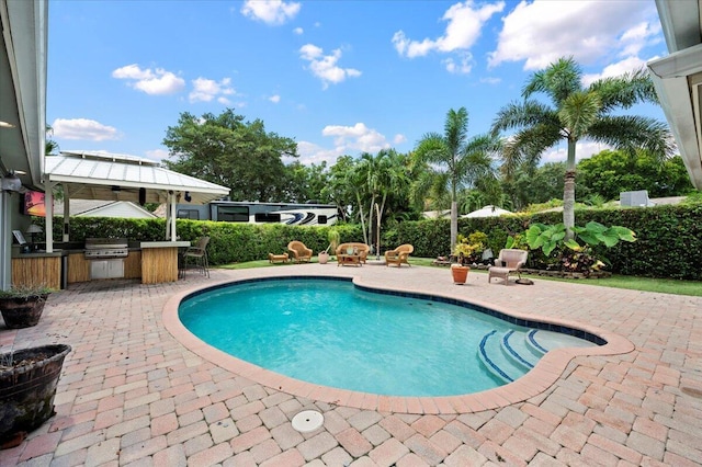 view of pool featuring a patio