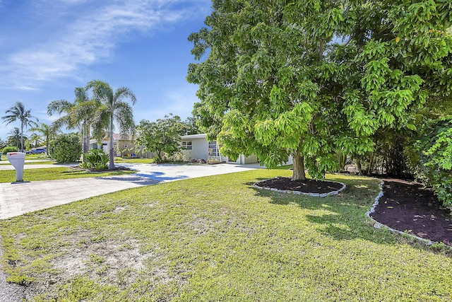 view of yard with driveway