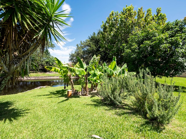 view of yard featuring a water view