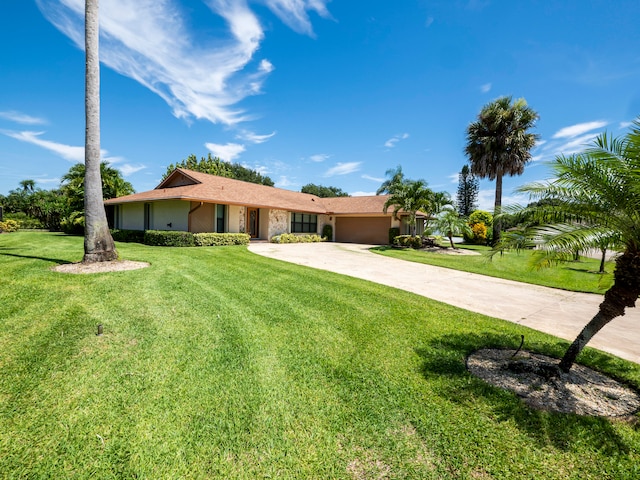 ranch-style home with a front lawn