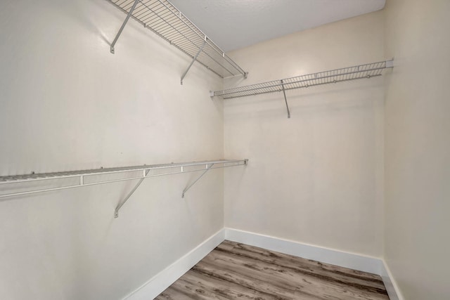 9873 Baywinds Dr Unit 5302, West Palm Beach, FL 33411 - walk in closet with light wood-style flooring