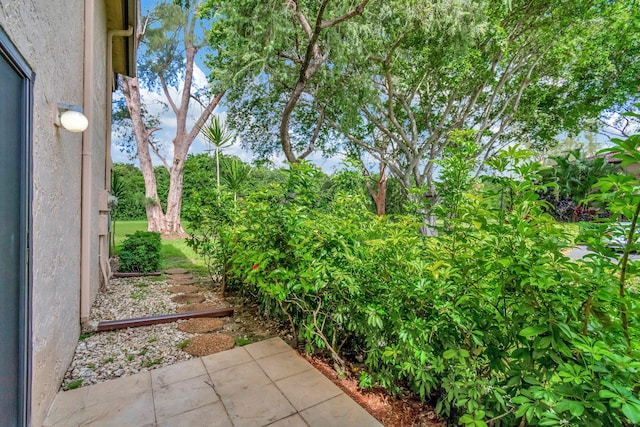 view of yard with a patio