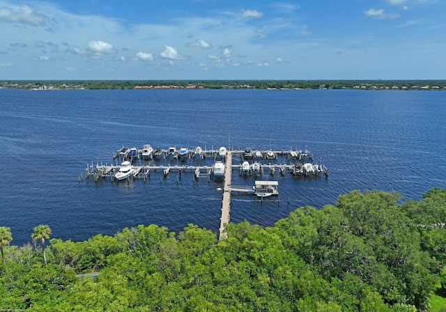 property view of water featuring a boat dock