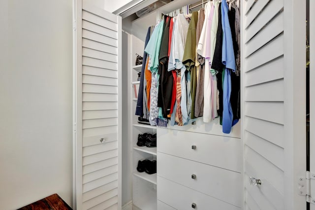 view of closet