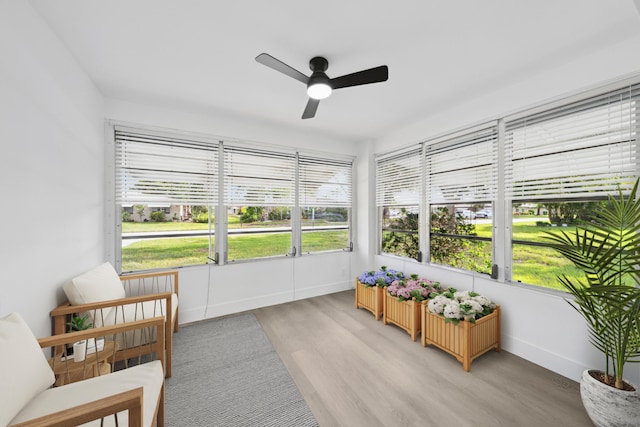 sunroom / solarium with a healthy amount of sunlight and ceiling fan