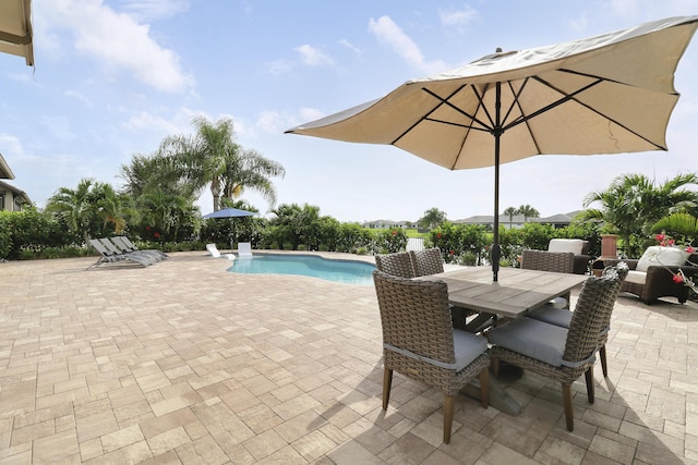 view of swimming pool featuring a patio