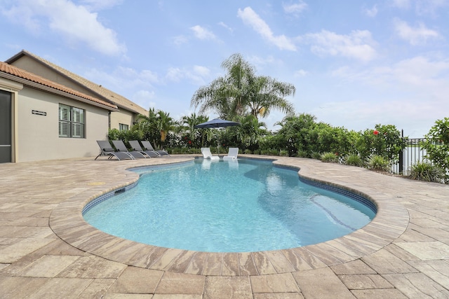 view of pool featuring a patio