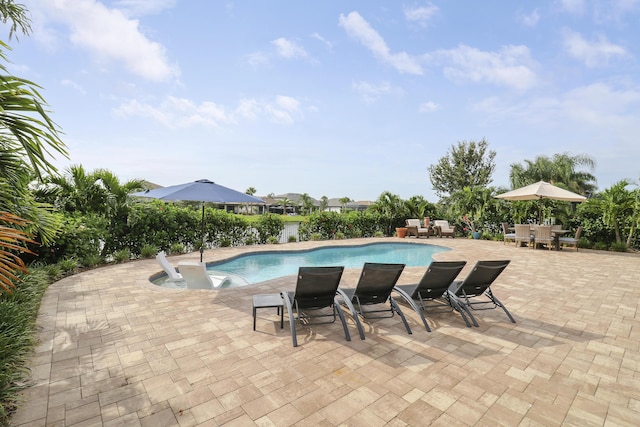 view of swimming pool with a patio