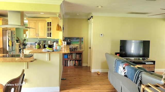 living room featuring crown molding and light hardwood / wood-style floors