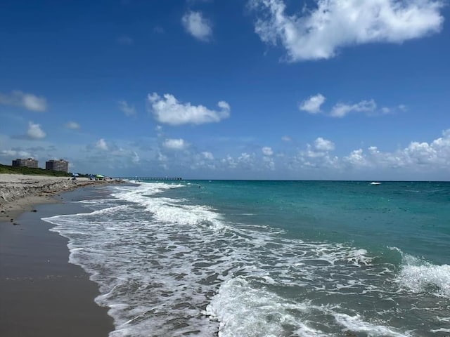 water view featuring a beach view