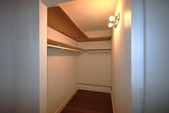 walk in closet with electric panel and dark hardwood / wood-style flooring