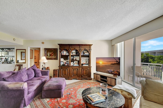 living room with a textured ceiling