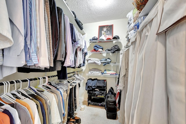 spacious closet with carpet