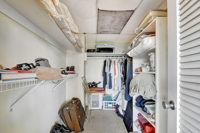 spacious closet with carpet floors