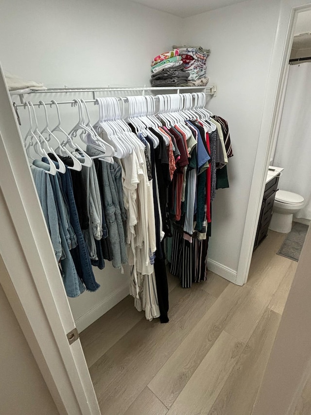 spacious closet featuring light hardwood / wood-style floors