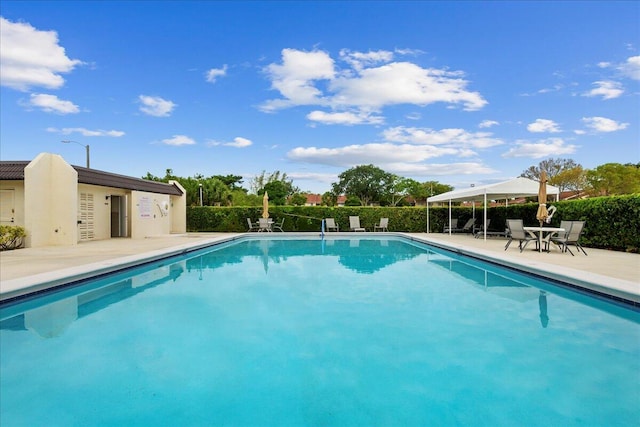 view of swimming pool featuring a patio