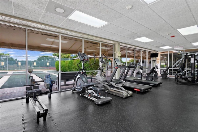 workout area featuring a healthy amount of sunlight, a paneled ceiling, and floor to ceiling windows