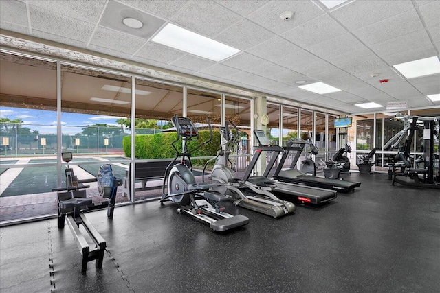 gym with floor to ceiling windows, a paneled ceiling, and a healthy amount of sunlight