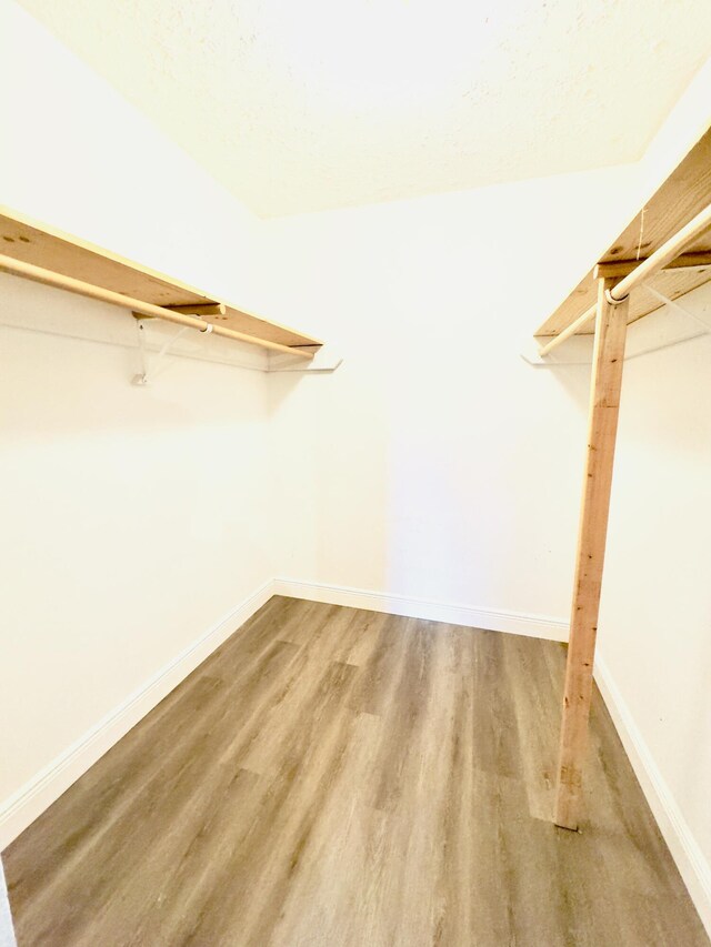 walk in closet with hardwood / wood-style floors