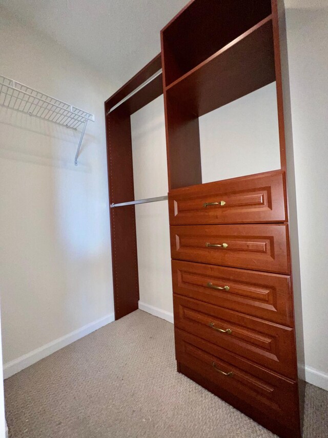 walk in closet featuring light carpet