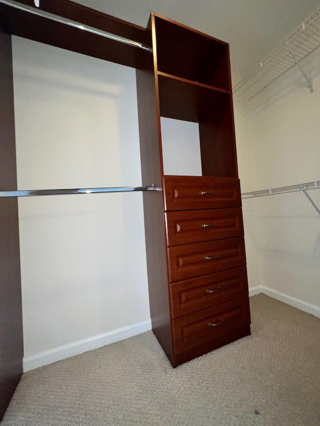 spacious closet with light carpet