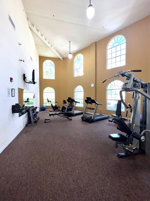 workout area with a high ceiling and carpet floors