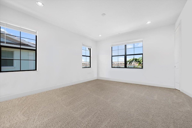 carpeted empty room featuring a wealth of natural light