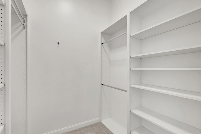 walk in closet with carpet floors