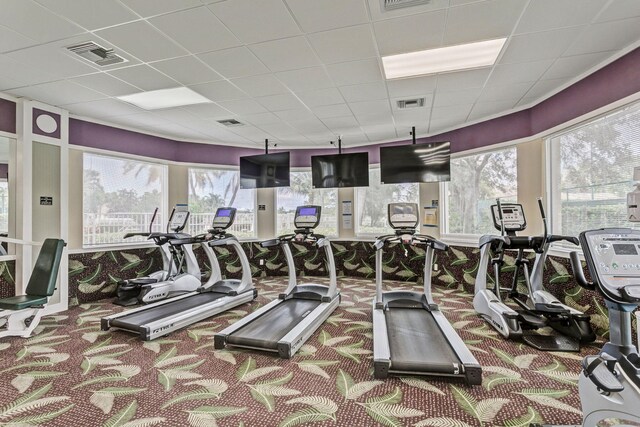 gym with carpet floors, a paneled ceiling, and visible vents