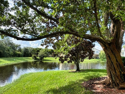 view of water feature