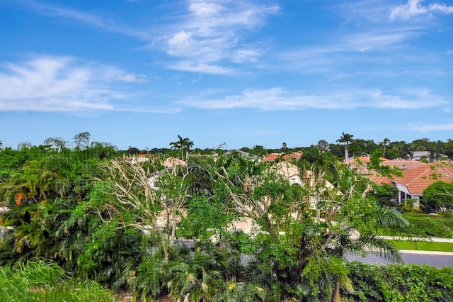 view of nature