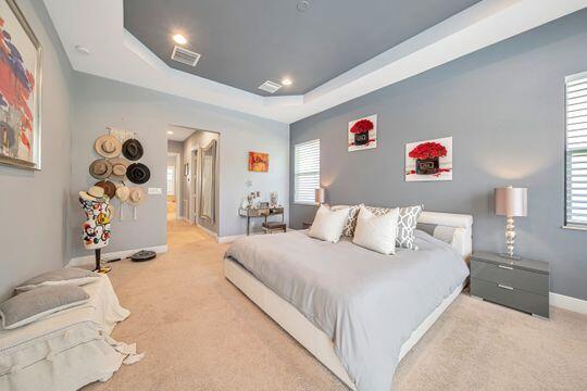 bedroom with light colored carpet and a raised ceiling