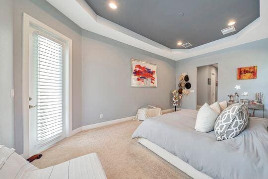 carpeted bedroom featuring a tray ceiling