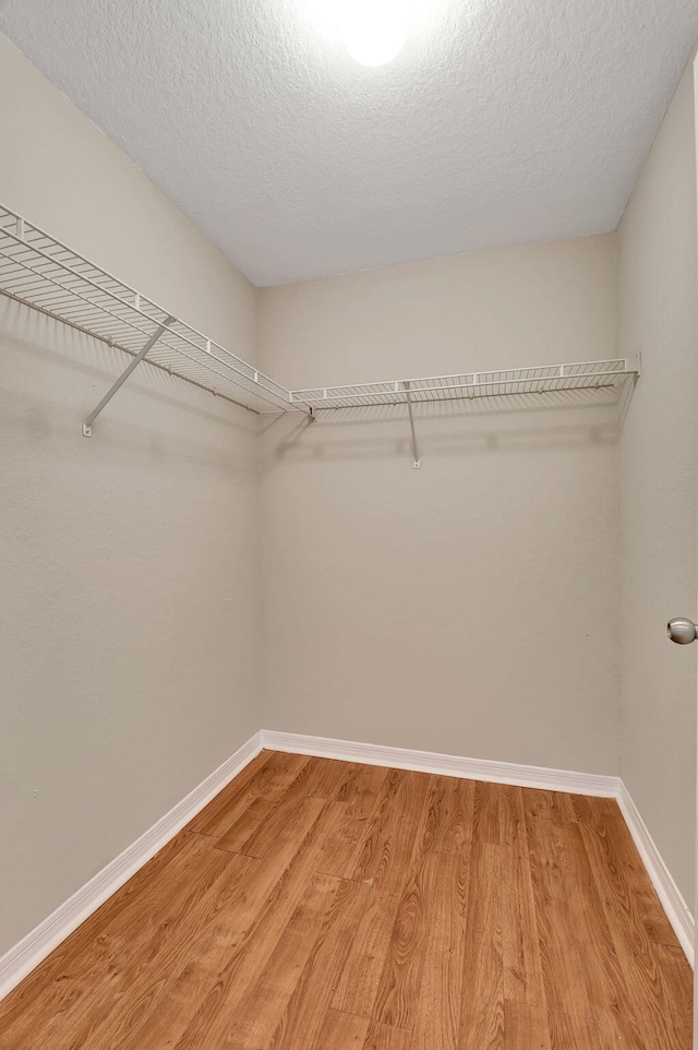 walk in closet with light hardwood / wood-style floors