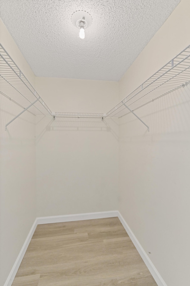 spacious closet featuring light hardwood / wood-style floors