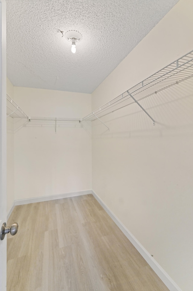 spacious closet featuring light wood-type flooring