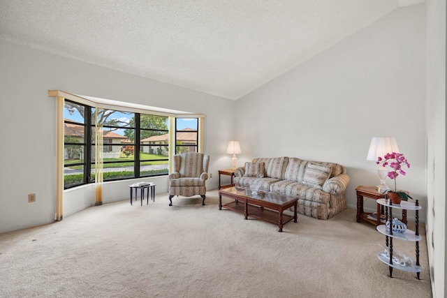 living room featuring high vaulted ceiling, a textured ceiling, and light carpet