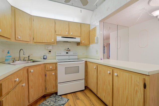 kitchen with ceiling fan, light hardwood / wood-style flooring, backsplash, white range with electric stovetop, and sink