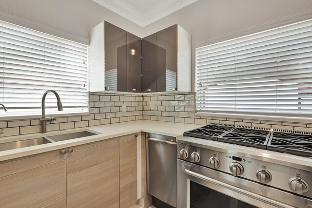 kitchen with high end stainless steel range oven, a wealth of natural light, and backsplash