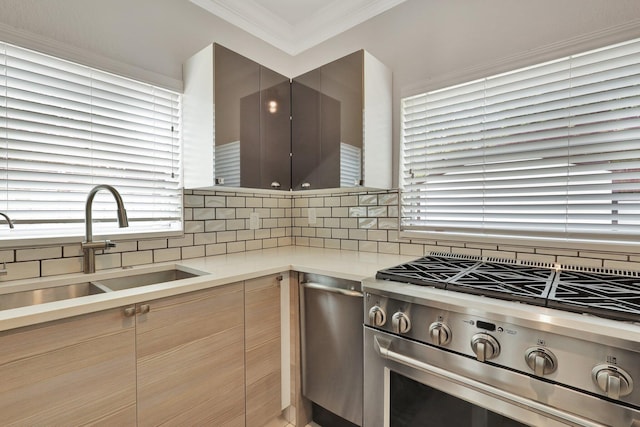 kitchen featuring tasteful backsplash, ornamental molding, sink, and high end stove