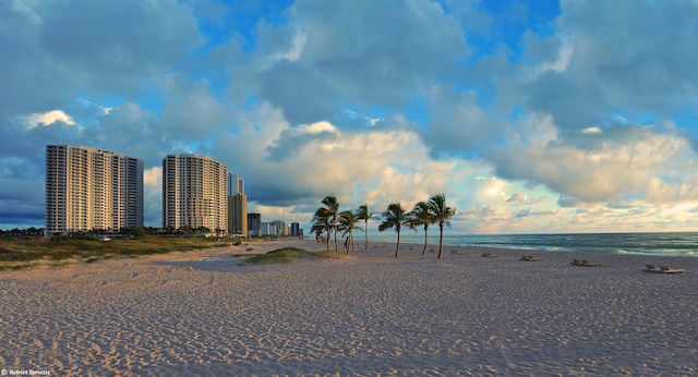 water view featuring a beach view