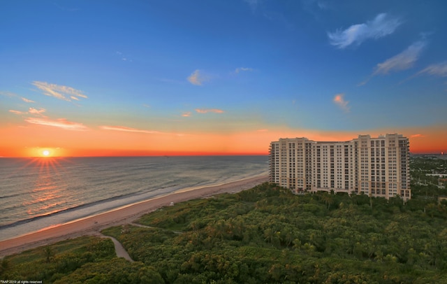 property view of water featuring a view of the beach