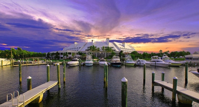 dock area with a water view