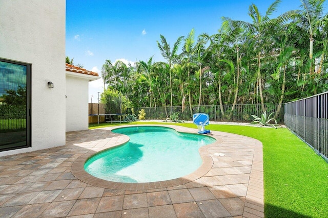 view of swimming pool featuring a patio