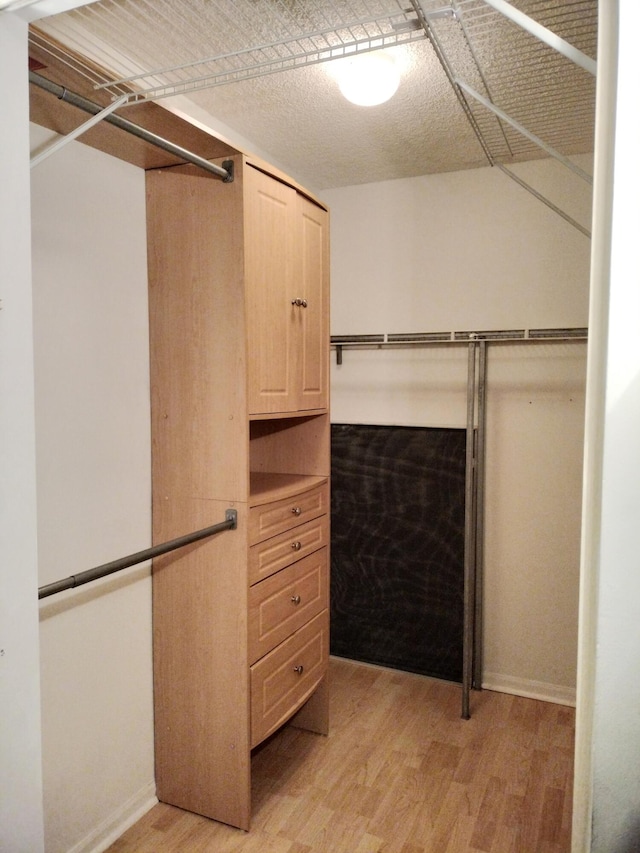 walk in closet with light wood-type flooring