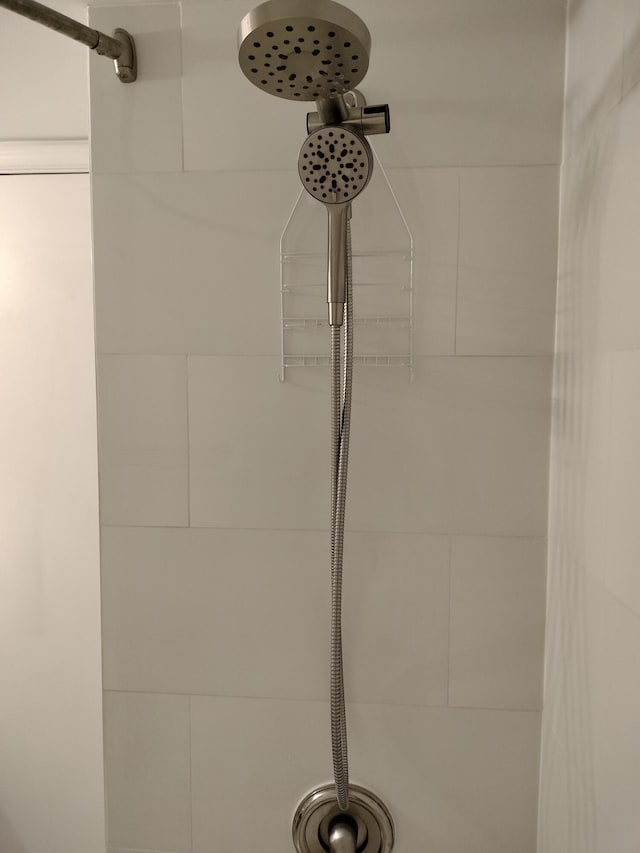 interior details with walk in shower