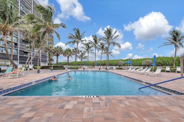 view of pool featuring a patio