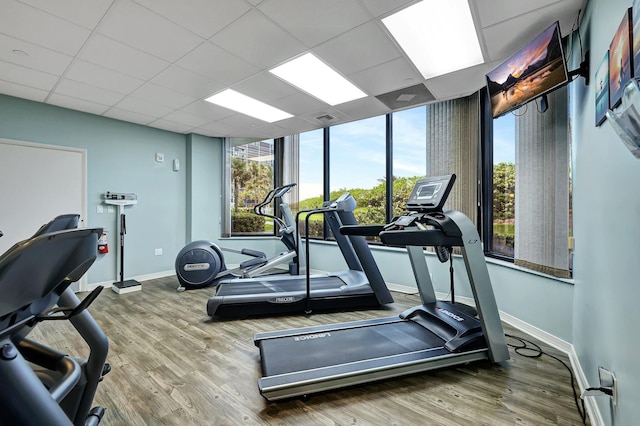 workout area with a paneled ceiling and wood-type flooring